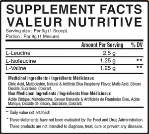 BULK Instantized BCAA 2:1:1 (100g to 5kg)